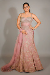 Light Blush Pink Tissue Fish Cut Sequin Beaded Lehenga with Corset